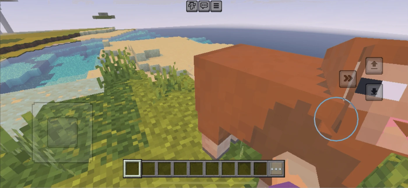Minecraft In Game reference