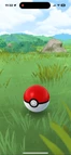 Pokémon GO In Game reference